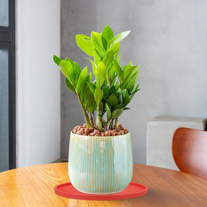 PATIKIL 7.7 Inch Round Ceramic Plant Saucer, Plant Saucer Tray Flower Planter Drip Tray for Indoors Outdoors Patio Balcony, Mint Green