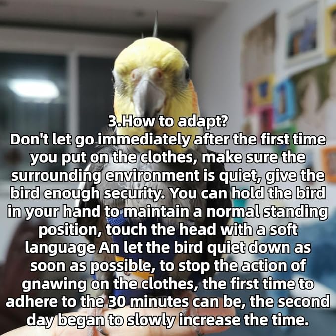 Bird Diaper Protective Parrot Nappy - 4 Pack, Reusable Flight Suit with Waterproof Inner Layer, Adjustable Shoulder Straps, Washable Cute Urine Wet Suit for Parakeet Conure (2M)