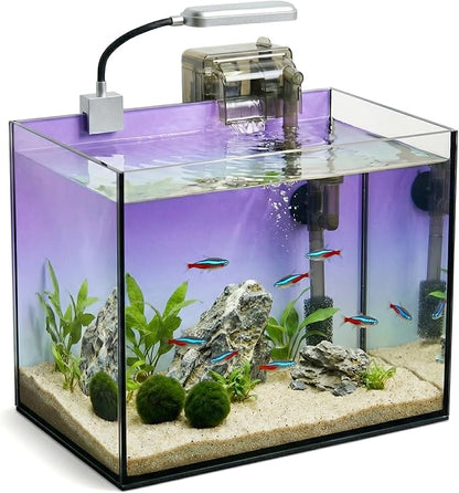 2.8 Gallon Glass Fish Tank with Filter LED Light Complete Betta Fish Tank Starter Kit for Small Aquarium Lovers, Rimless Freshwater Nano Tank with All Essentials Included