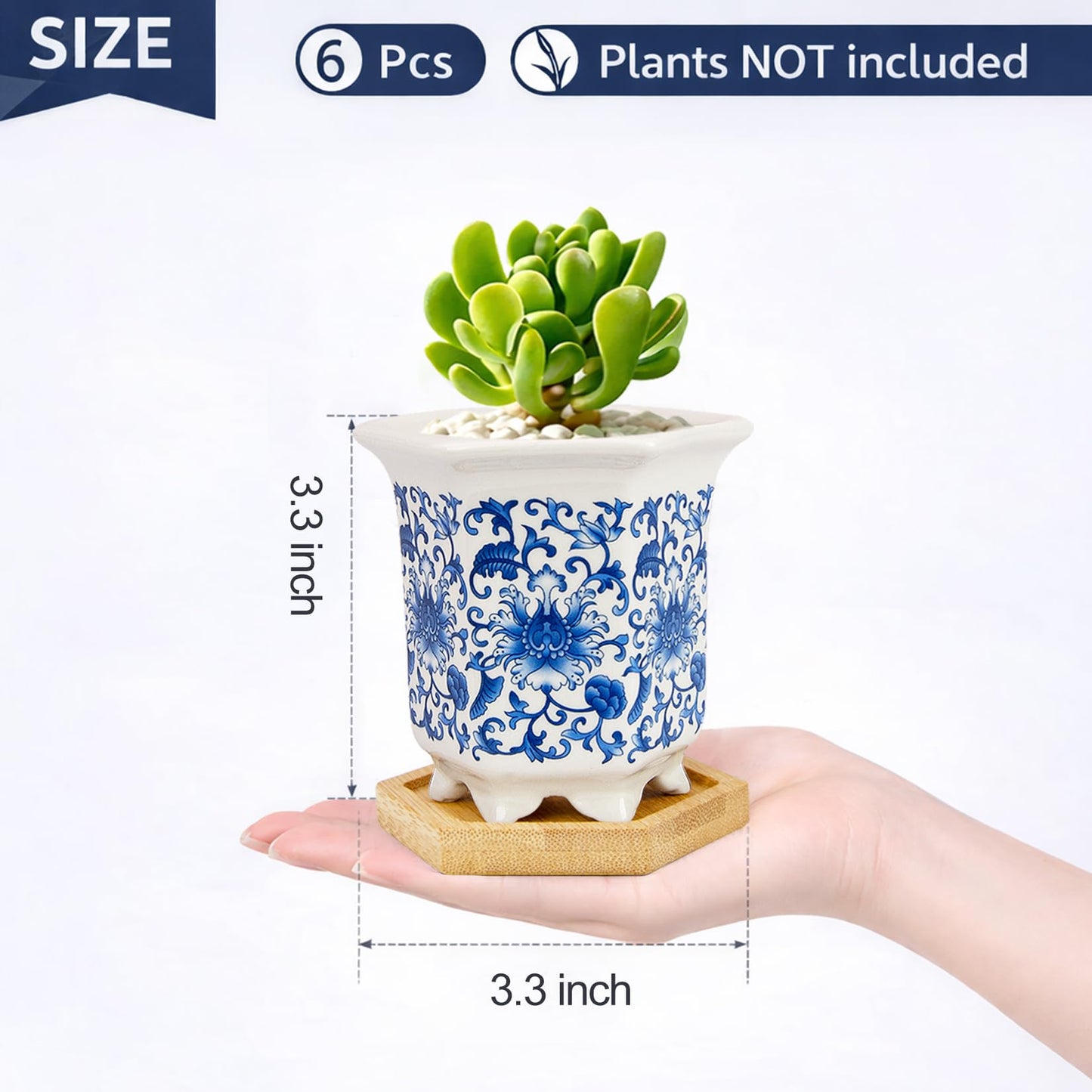 Succulent Pots, Small Ceramic Pots for Plants Set of 6, 3.3" Succulent Planters with Drainage & Saucers, Mini Plant Pots for Indoor Plants, Cactus, Small Flower Pots for Home Office