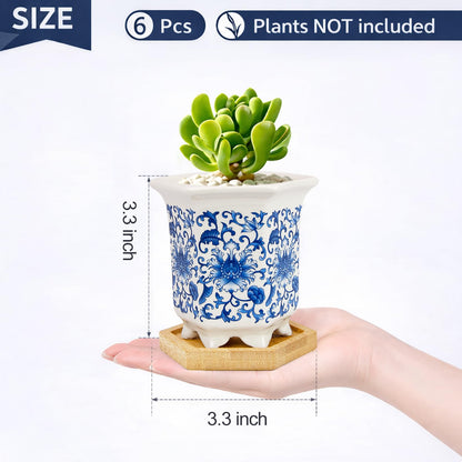 Succulent Pots, Small Ceramic Pots for Plants Set of 6, 3.3" Succulent Planters with Drainage & Saucers, Mini Plant Pots for Indoor Plants, Cactus, Small Flower Pots for Home Office