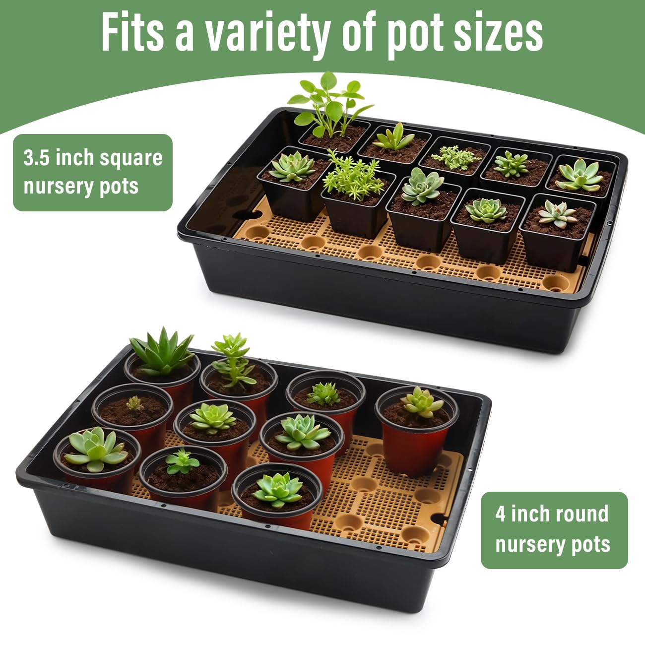5 Pack Nursery Pots Trays with Removable Mesh Drainage Mat, Plastic Seed Starter Trays (17"x12"x3.5") with Drainage Hole, Propagation Kit for Seedlings, Microgreens, Plant Germination (Black)