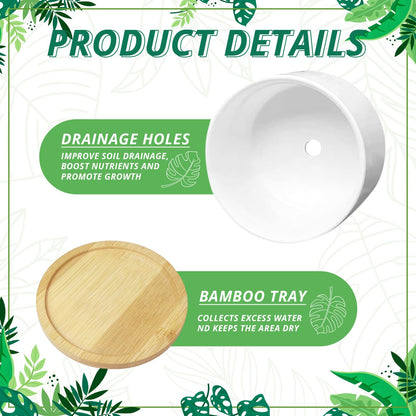 Myakako Thank You Dad Ceramic Planter with Wood Tray – 3.5 Inch Funny Flower Pot for Succulents, Cactus & Indoor Plants, Unique with Drainage Hole (Plant Not Included)