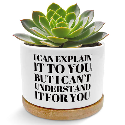EVIHCG Humorous Quote Planter Pots, Funny Gifts for Women Men Friends Teachers, I Can Explain It to You Ceramic Succulent Plant Flower Planters for Home Office Desk Table Shelf(No Plants)
