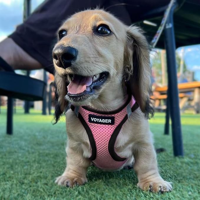 Best Pet Supplies Voyager Step-in Air All Weather Mesh Harness and Reflective Dog 5ft Leash Combo with Neoprene Handle, for Small, Medium and Large Breed Puppies - Pink Base, X-Large