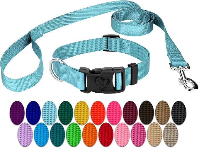 Country Brook Petz - Everyday Nylon Dog Collar and Leash - 10+ Cool Colors (3/8 Inch, 3XS, Ocean Blue)