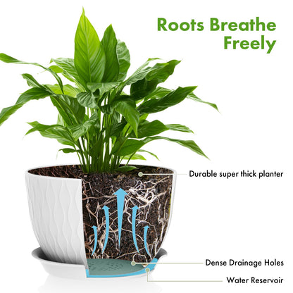 QRRICA Plant Pots 12/10/9 Inch Pots, Set of 3 Plastic Planters with Drainage Holes and Saucers,Plastic Flower Pots,Nursery Planting Pot for Indoor Out Door Plants（White）