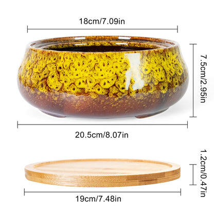 ARTKETTY Succulent Pots - 8 Inch Plant Pot, Large Bonsai Pots with Drainage Tray, Ceramic Planters for Indoor Outdoor Plants, Round Shallow Cactus Flower Plant Container Bowl Decorative Home Garden