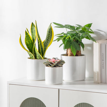 vancasso Ceramic Plant Pots, 6 Piece Planters for Indoor Plants, 4.25+5.25+6.25 Inch Flower Pots with Drainage