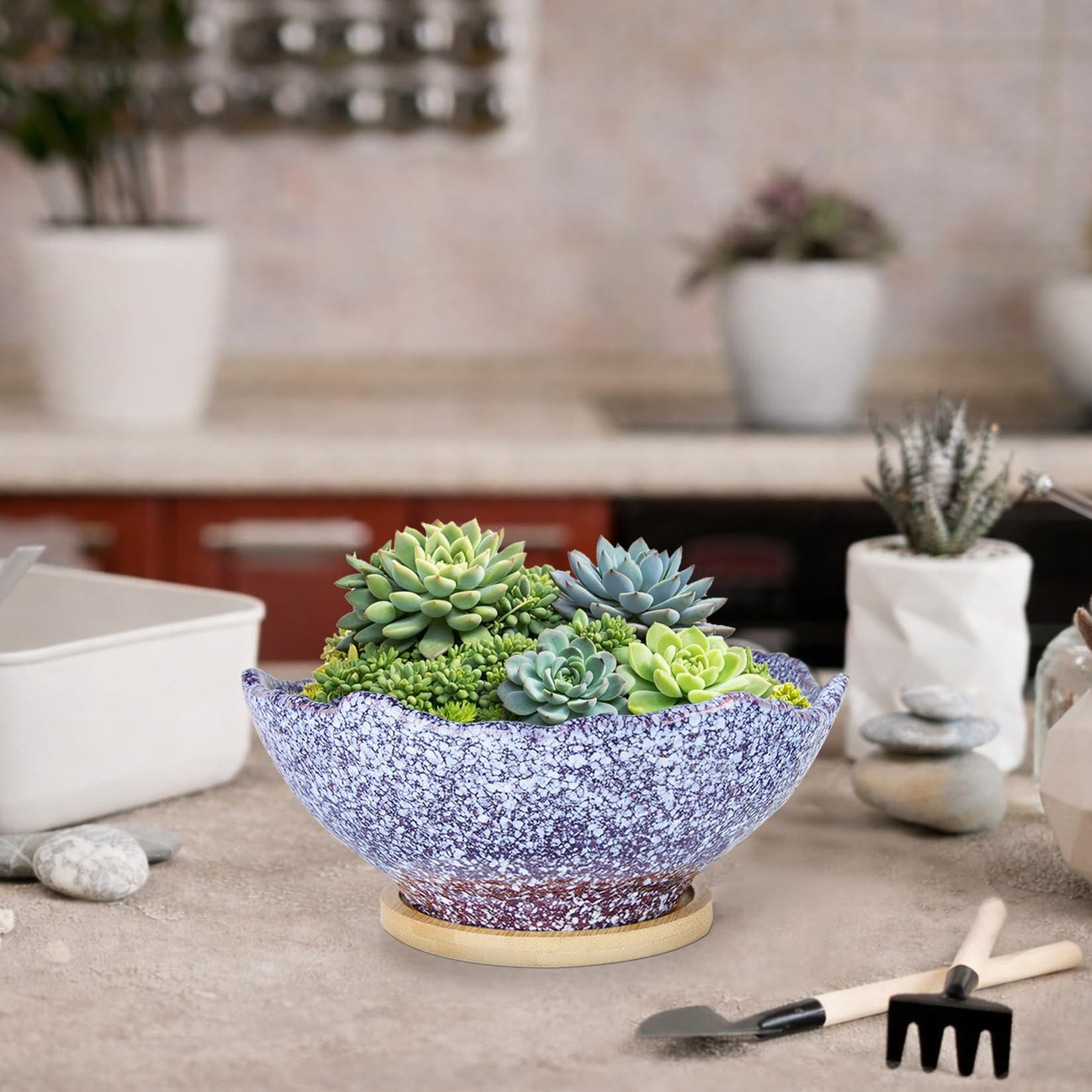 ARTKETTY Bonsai Pots - 9.06'' Ceramic Pots for Indoor Plants, Large Succulent Pots with Drainage Bamboo Tray, Unique Bonsai Tree Planters Round Cactus Flower Plant Container Bowl Home Office Decor