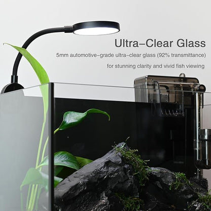 Fish Tank,2.8 Gallon Small Aquarium Kit,Glass Small Fish Tank,Betta Fish Tank with Light and Filter, Small Transparent Glass Fish Tank with Light and Filter