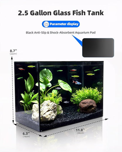 2.5 Gallon Clear Glass Fish Tank, Small Fish Tank Aquarium for Betta, Goldfish, Snail,Shrimp and Aquatic Planting
