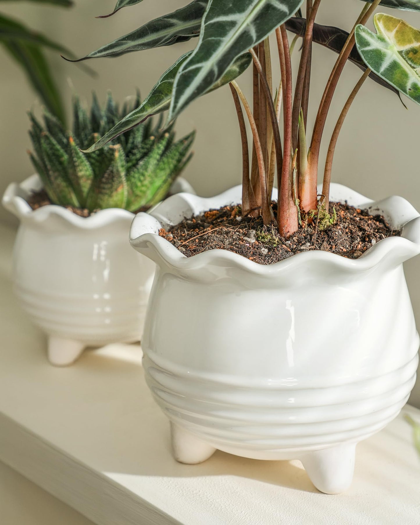 Fayoula Ceramic Planter, 2 Piece Ceramic Planter Set with Drainage Hole for Home and Office, Indoor Plant Potting, Suitable for Succulents, Bonsai, Snake Grass and Money Tree, etc. (White)