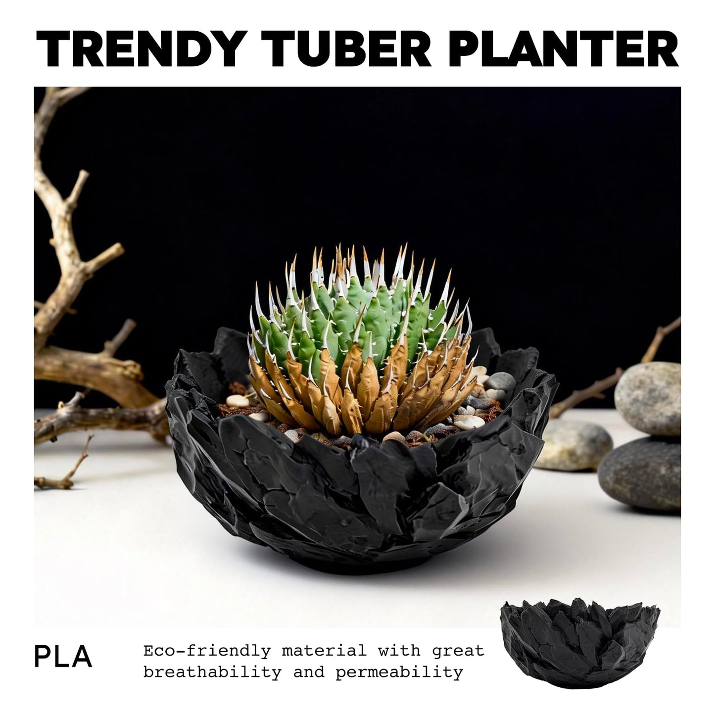 Dak Haan Succulent Pot with Drainage – Indoor Plant Pots, Artistic Design Flower Pots,Personalized Custom Mothers Day Plant Pot, Shallow Succulents Pots Bowls for Home, Office, Weddings & Party Décor