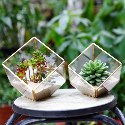 ELEGANTLIFE Glass Geometric Plant Terrarium,Succulent & Air Planter for Home Garden Office Decoration(Gold Cubic Set of 2)