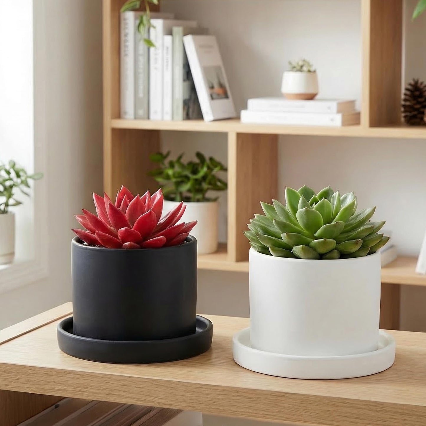 Miayon 4 Pack Ceramic Plant Saucer Tray 4.72 Inch Round Flower Pot Drip Trays for Indoor Outdoor Plants Succulents