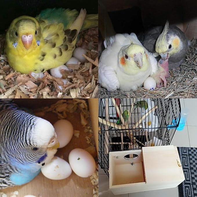 Pine Wood Parakeet Nest Box Bird House Budgie Breeding Mating Box for Lovebirds Cockatiel Parrotlets (XL)