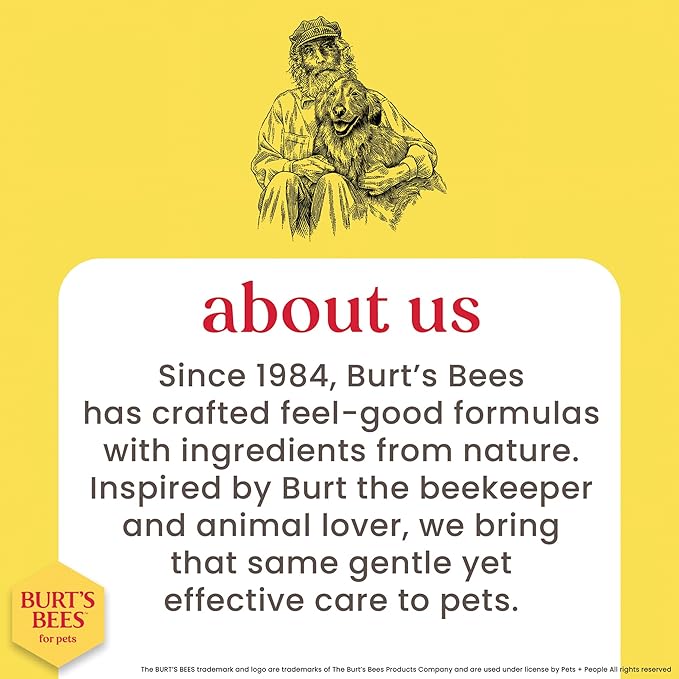 Burt's Bees for Pets Tearless Kitten Shampoo with Buttermilk and Honey, 99% Natural Origin Gentle Cat Shampoo for Sensitive and Itchy Skin, pH Balanced and Fragrance-Free, 10 Fl Oz