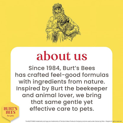 Burt's Bees for Pets Tearless Kitten Shampoo with Buttermilk and Honey, 99% Natural Origin Gentle Cat Shampoo for Sensitive and Itchy Skin, pH Balanced and Fragrance-Free, 10 Fl Oz