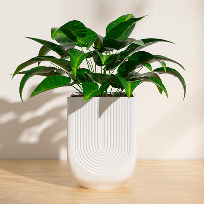XiHuaer Ceramic Planter, 6 Inch Plant Pot with Drainage Hole, Indoor Outdoor Planter Flower Pots, White Pot for Plants