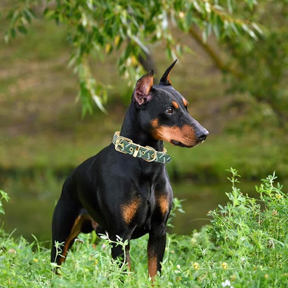 Leather Dog Collar and Leash Set, Check Pattern Dog Collar Leashes Metal Buckle Adjustable Durable for Small Medium Large Dogs (Green, L(14.5-18.5IN))