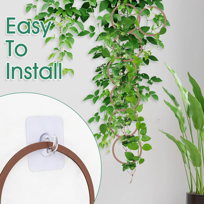 20pcs Round Chain Trellis for Climbing Plants Indoor, with 8pcs Self-Adhesive Hooks, HSSZXFR DIY Plant Climber Support for Vines and Garden Wall Trellis, for Monstera Pothos Ivy Flower