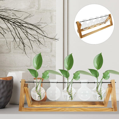 BESTonZON Glass Plant Propagation Station with 5 Glass Vases and Wooden Stand, Hydroponic Vase Set for Desktop Green Plant Water Cultivation and Home Décor
