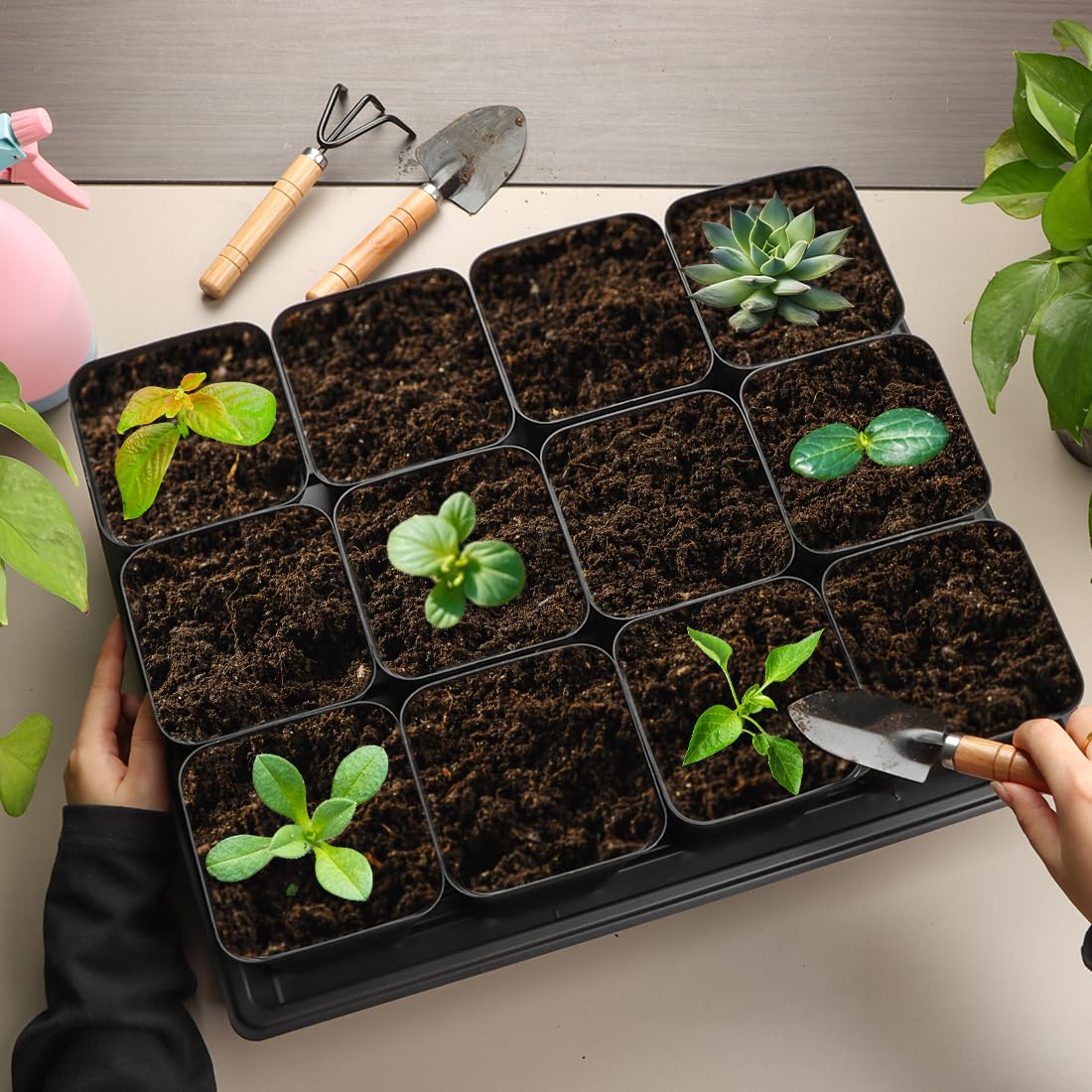RooTrimmer 3.15 inch (8CM) Square Nursery Pots 100 pcs, Sturdy Seedlings Trays 5 Pcs, Seeds Starter Germination Tray, Microgreening Planter Nursery Propagation 5 Sets