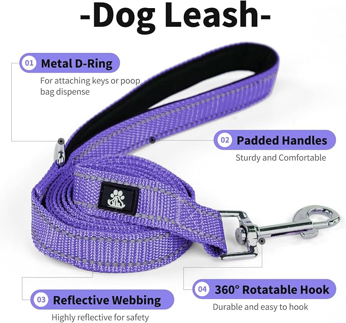 IVY&LANE Reflective Dog Collar and Leash Set,Adjustable Neoprene Padded Dog Collars for Puppy, Breathable Nylon Pet Collar for Small Medium Large Dogs(Small,Purple)