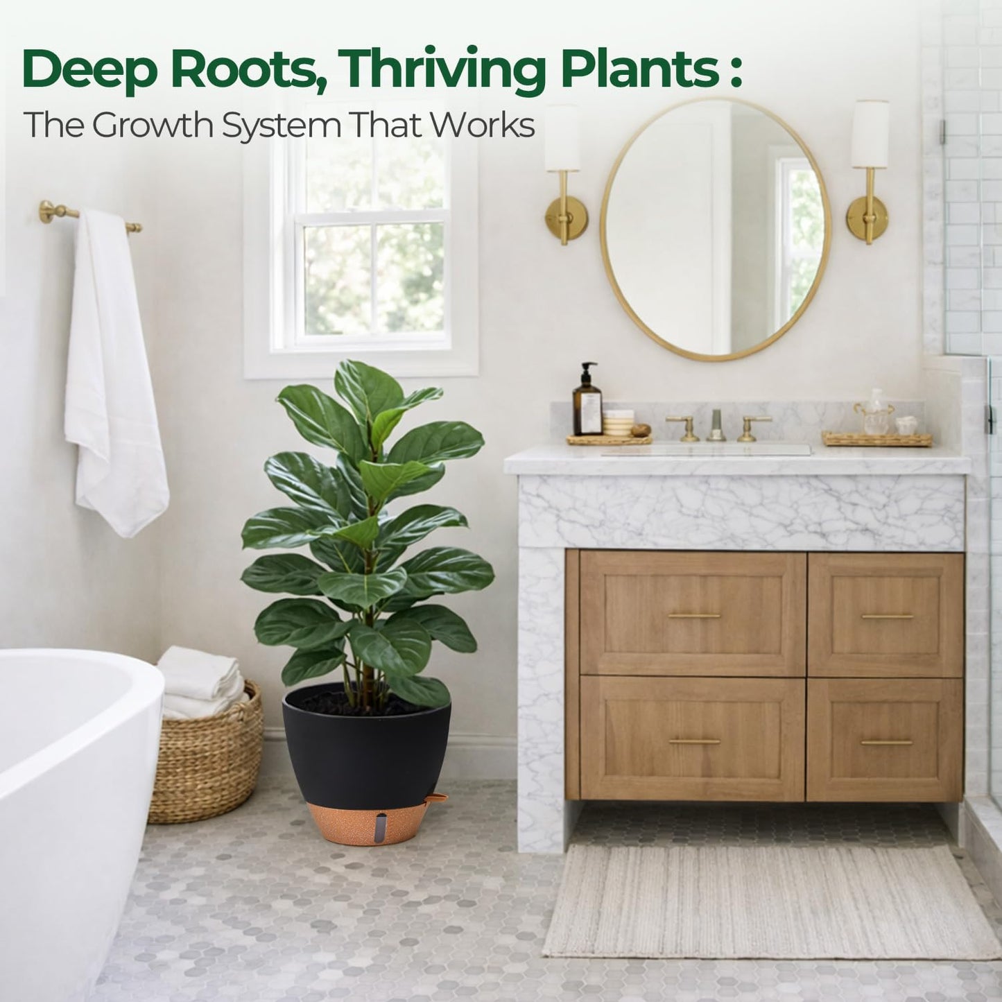 T4U 3 Pack Self Watering Pots (8"+10"+12") - Water Level Indicator & Deep Reservoir, Mess-Free Planters for Busy People, Beginners & Gardeners, Fits Pothos to Monstera, Indoor Outdoor Use (Black)