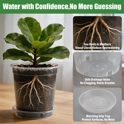 BTPLASTIK 1 Gallon Clear Nursery Pots with Saucers 10P, 6.5 Inch Round Plastic Plant Pots with Drainage Holes