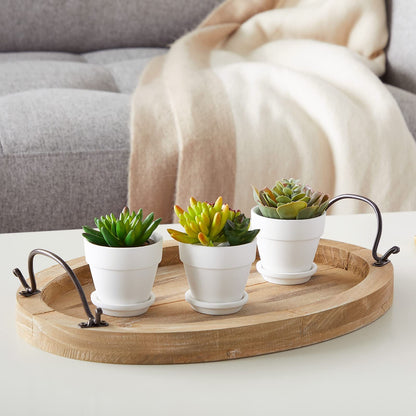 Juvale Mini Terracotta Pots - Pot with Drainage Hole - Versatile Succulent & Herb Planter - Paintable White Planter for Custom Decor - Pack of 12, White, 2.9 x 2.9 x 2.5 in
