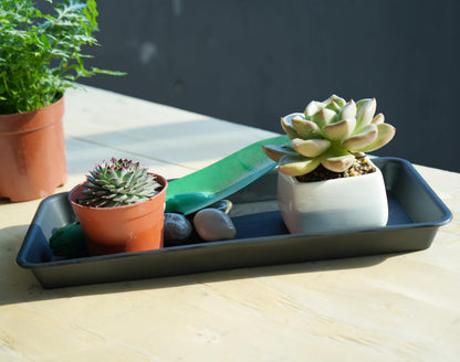 Vuwez Plant Saucer Tray, Heavy Sturdy Long Narrow Plastic Plant Saucers Drainage Trays for Indoors No Holes, Plant Drip Trays for Pots Base, Seed Starter Growing Tray (6.5 X 13 inch, Black)