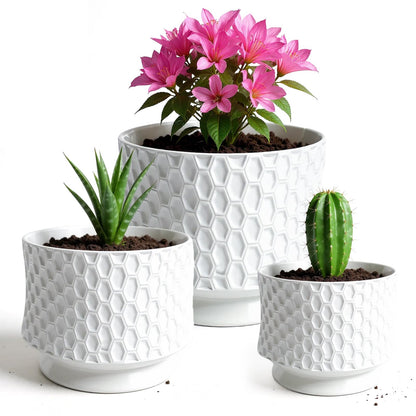 OXART 10/8/6 Ceramic Pots for Plants with Drainage, 3 Piece Large Plant Pot, Planters for Indoor Plants, Home Garden Flower Pot for Cacti, Pothos, Snakes, and Succulents, White