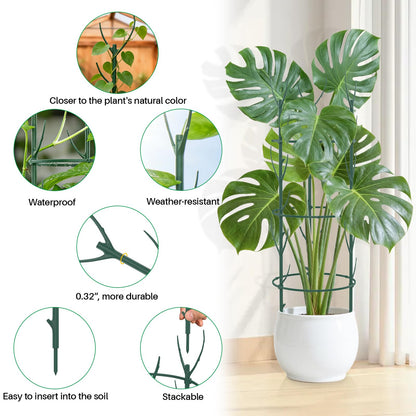 DRAINJH Monstera Plant Support Stakes, 30 Pcs Stackable Plant Support Stakes Sticks Poles for Indoor & Outdoor Plants, Climbing and Potted Plants, Stem Supports, Pothos