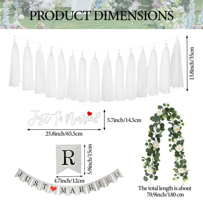 4PCS Just Married Wedding Car Decorations Kit with Greenery Vine Removable Banner Paper Tassel Static Cling Window Sticker for Bride and Groom Honeymoon Getaway Send Off Vehicle Decor