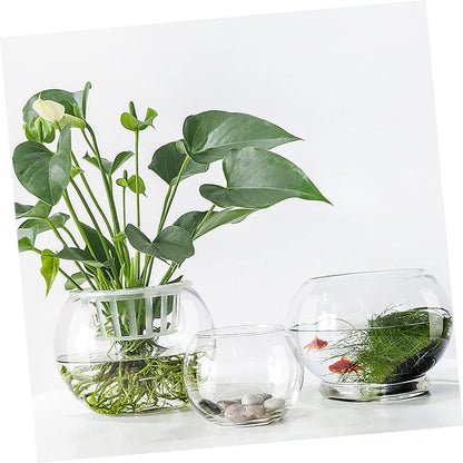 Sosoport Hydroponics Glass Vase Transparent Desktop Flower Pot Smooth Surface Decorative Plant Holder for Home Office Hotel Terrarium Succulent Display