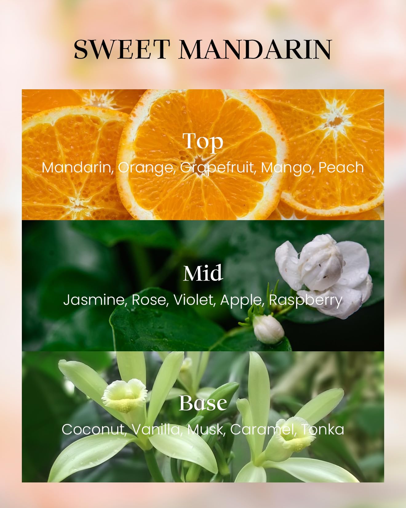 M&SENSE Sweet Mandarin Soy Candle, No Toxin Refreshing Fragrance, 8.1oz 42-Hour Long Burning, Bright Refreshing Citrus, Summer Housewarming Gift