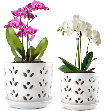 REMIAWY Orchid Pot, 2 Pack Orchid Pots with Drainage Holes and Saucer, 6 Inch and 5 Inch Large Ceramic Planter for Repotting Indoor Plants, Succulent, Decorative, Good Air Circulation, White