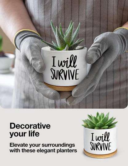 WHING 3.5 Inch Mini Succulent Planter Pot, I Will Survive Funny Engraved White Ceramic Cactus Pot with Bamboo Tray, Indoor Flower Plant Pots for Home Office Windowsill Decor Gift, Plant Not Included