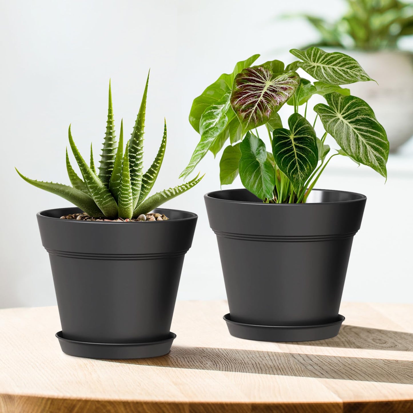 WSMKSZ 5 Inch Plastic Plant Pots with Drainage Holes and Trays – 6 Pack Small Nursery Pots for Indoor & Outdoor House Plants and Flowers, Seedling Starter Planters, Matte Black