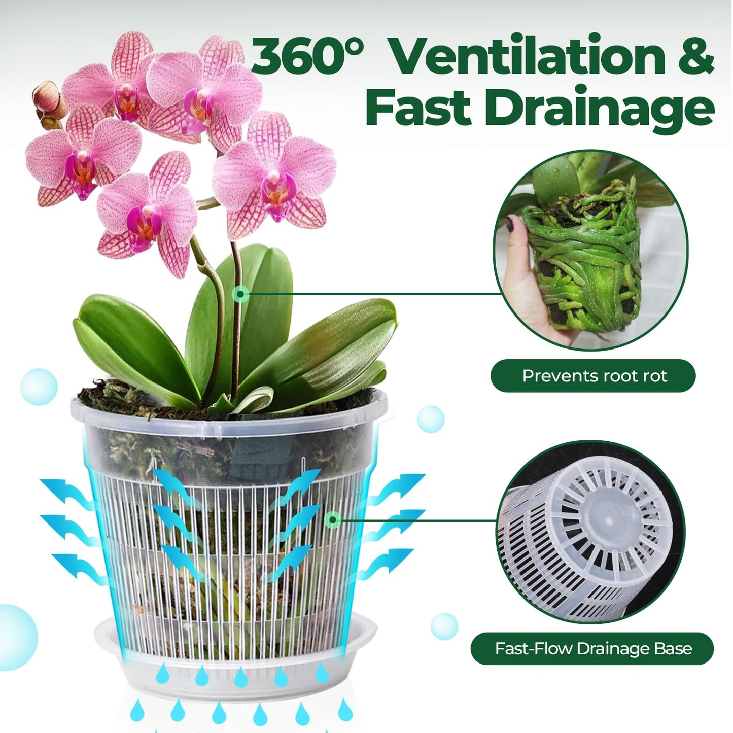 T4U Orchid Pot, 9 Pack Orchid Pots with Holes and Saucers for Repotting, 3 Each of 4.3, 5.5 and 6.3 Inch, Clear Plastic Flower Plant Pot for Indoor Outdoor Plants, Orchids Planter for Root Health