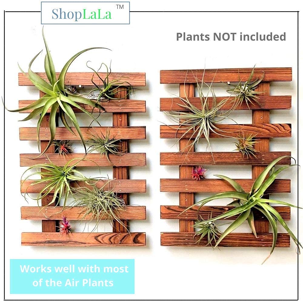ShopLaLa Wall Planter - 2 Pack Wooden Orchid Planter Frame Display Outdoor Plants, Wall Mount Air Plants Succulent Holder Hanger, Vertical Garden Plant Wall Decor Macetas para Orquideas 15.7" (40cm)