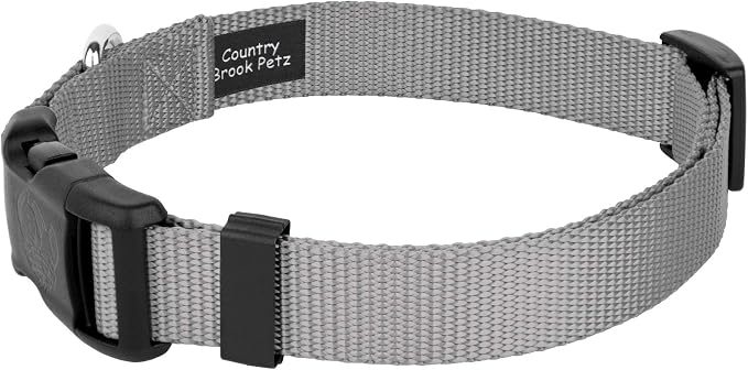Country Brook Petz - Everyday Nylon Dog Collar and Leash - 10+ Cool Colors (3/4 Inch, Medium, Silver)