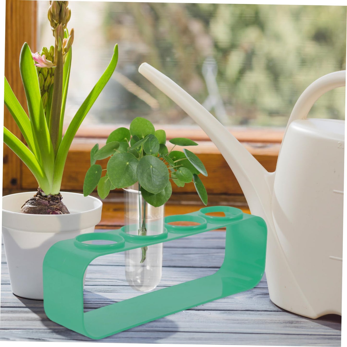 BESPORTBLE 4Pcs Transparent Glass Hydroponic Test Tube Planters for Indoor Plants Hanging Vases for Home Decor Space Saving Desktop Terrarium for Propagating Flowers