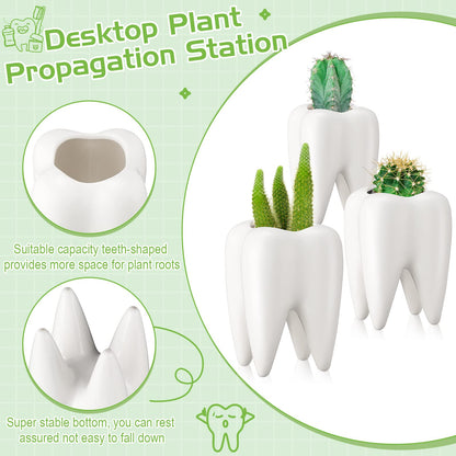 Tooth Shaped Flower Pot Dental Pots Ceramic Modern Style Teeth Pots White Cactus Bonsai Planter Container Small Cute Succulent Plant Pot for Dentists Gift Home Office Decoration, 3.9 Inch (14 Pcs)