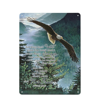 FixeLLD Rustic Metal Tin Sign Eagle Scripture Decor Wall Art Bible Verse Pictures Wall Decor Eagle Prints Painting Religious Eagle Decorations Artwork for Bedroom Living Room 12x16inch