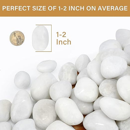 NUPICK 3lb White River Rocks for Plants Indoor, 1-2Inch Pebbles for Vases Fillers, Decorative Gravel for Fish Tank, Natural Polished Stones for Succulent, Bonsai, Landscaping, Bird Baths