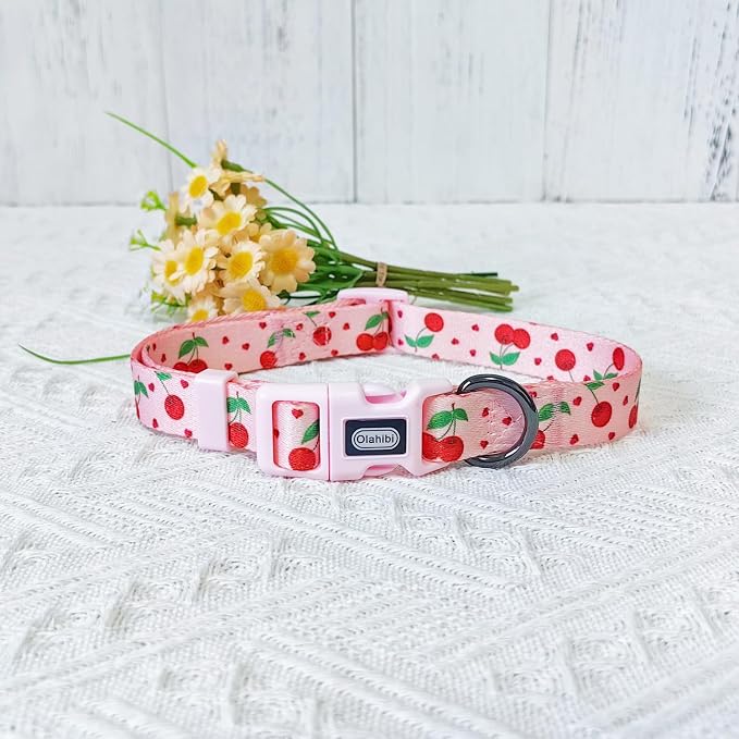 Dog Collar Leash Set, Fruit Pattern, Polyester Material, Adjustable Collar and 5ft Matching Leash, for Large Dogs.(L, Pink Cherry)