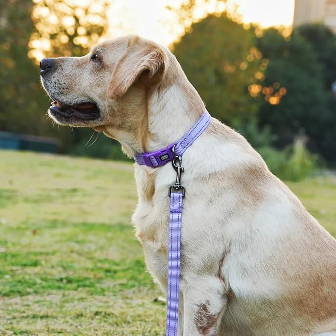 Dog Collar Leash Set, with Relfective Strips, Lilac Purple, Medium. | Adjustable Collar,5 ft Matching Leash,Neoprene Padded Handle.